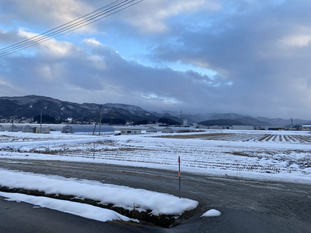 事務所前の圃場